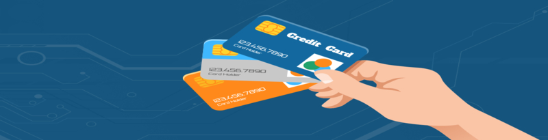 Credit Card Merchant Fees